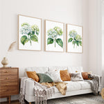 a cozy living room with a white sofa adorned with throw pillows and a blanket. Above the sofa, there are three framed watercolor paintings of hydrangeas hanging on the wall. The room also includes a wooden dresser and a rug, creating a warm and inviting atmosphere.