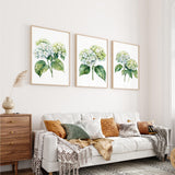 a cozy living room with a white sofa adorned with throw pillows and a blanket. Above the sofa, there are three framed watercolor paintings of hydrangeas hanging on the wall. The room also includes a wooden dresser and a rug, creating a warm and inviting atmosphere.