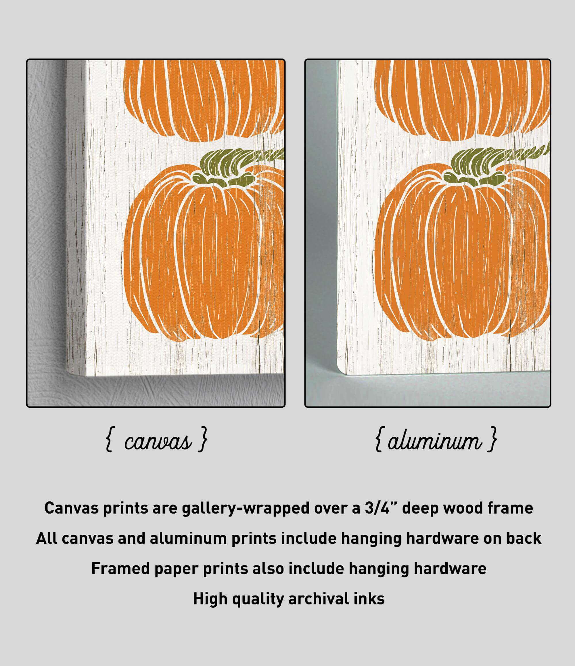 a picture of an orange pumpkin on a white background
