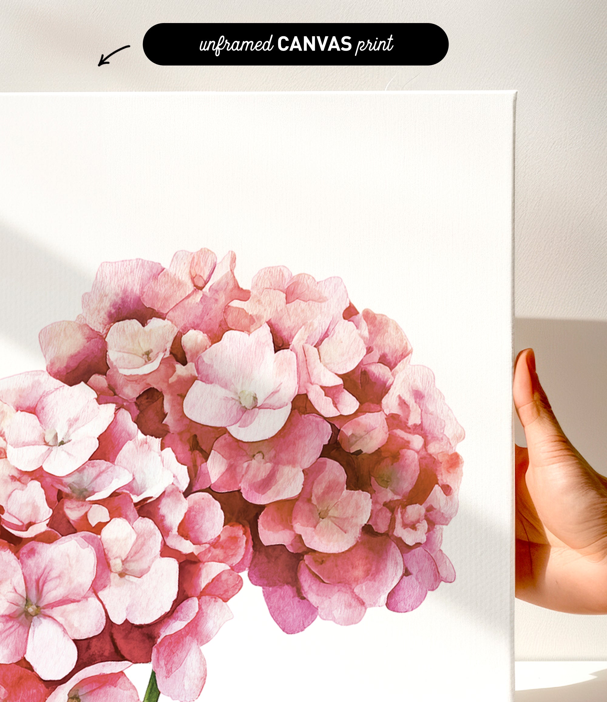 a close-up of a beautiful arrangement of pink flowers against a white background.