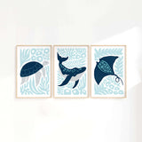 three framed pictures of sea animals on a wall