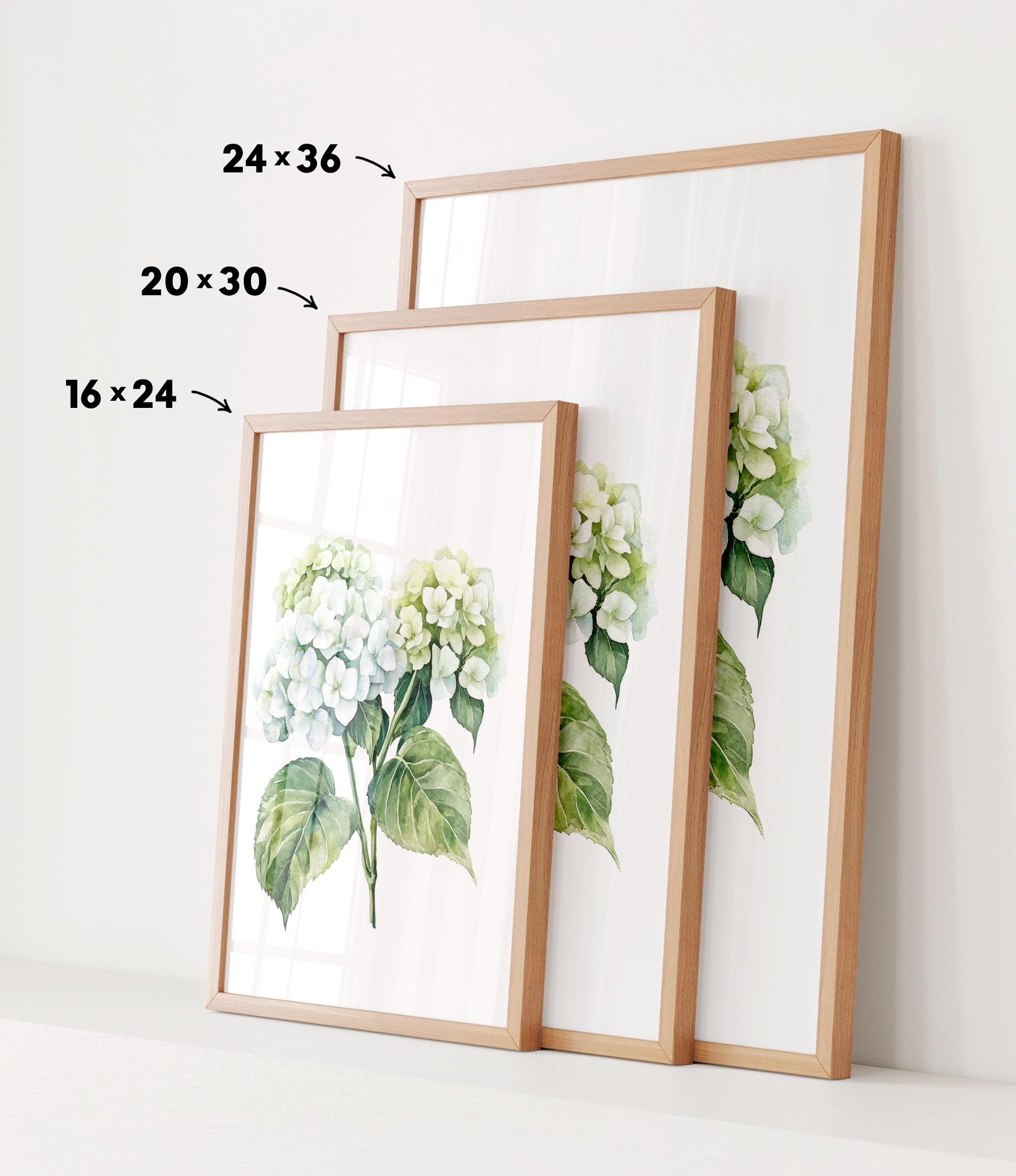 three framed prints of a watercolor painting of white hydrangea flowers, each with a different size and frame.