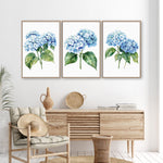 a living room with a wooden dresser, a woven basket, and a woven chair. Above the dresser, there are three framed watercolor paintings of blue hydrangeas hanging on the wall.