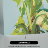 The image is an aluminum print featuring a close-up view of a banana plant with large, vibrant green leaves.