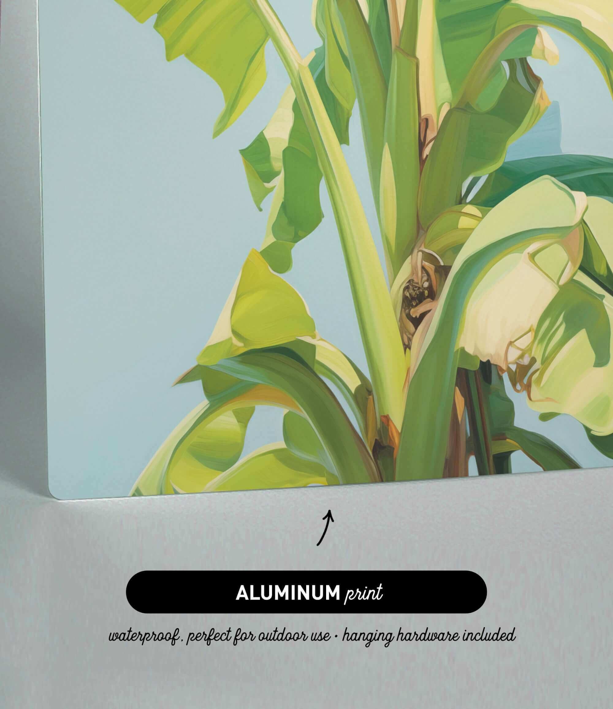 The image is an aluminum print featuring a close-up view of a banana plant with large, vibrant green leaves.
