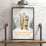 a picture of a pair of skis on a shelf