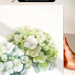 a hand holding a white canvas print of a watercolor painting of a cluster of white hydrangea flowers.