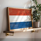 a picture of a flag on a shelf next to a potted plant