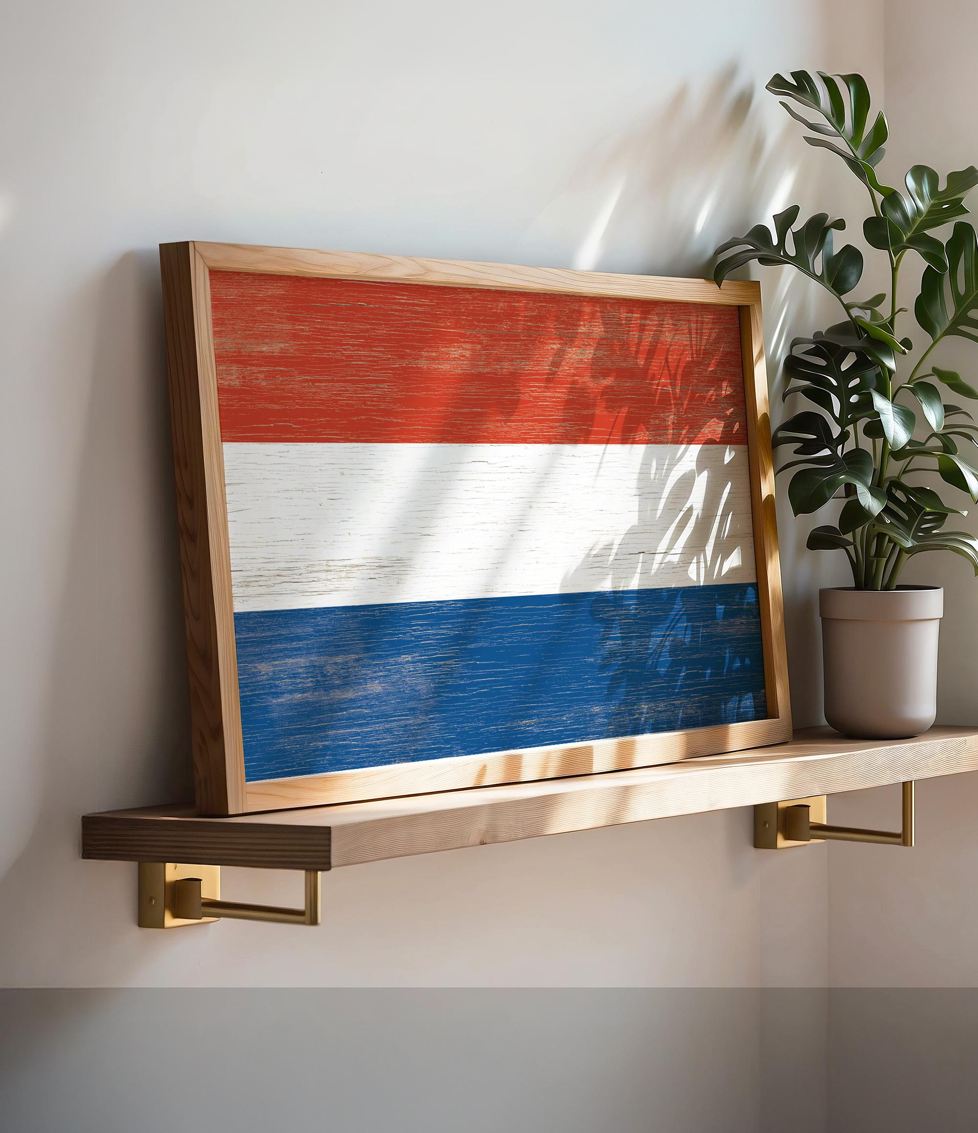 a picture of a flag on a shelf next to a potted plant
