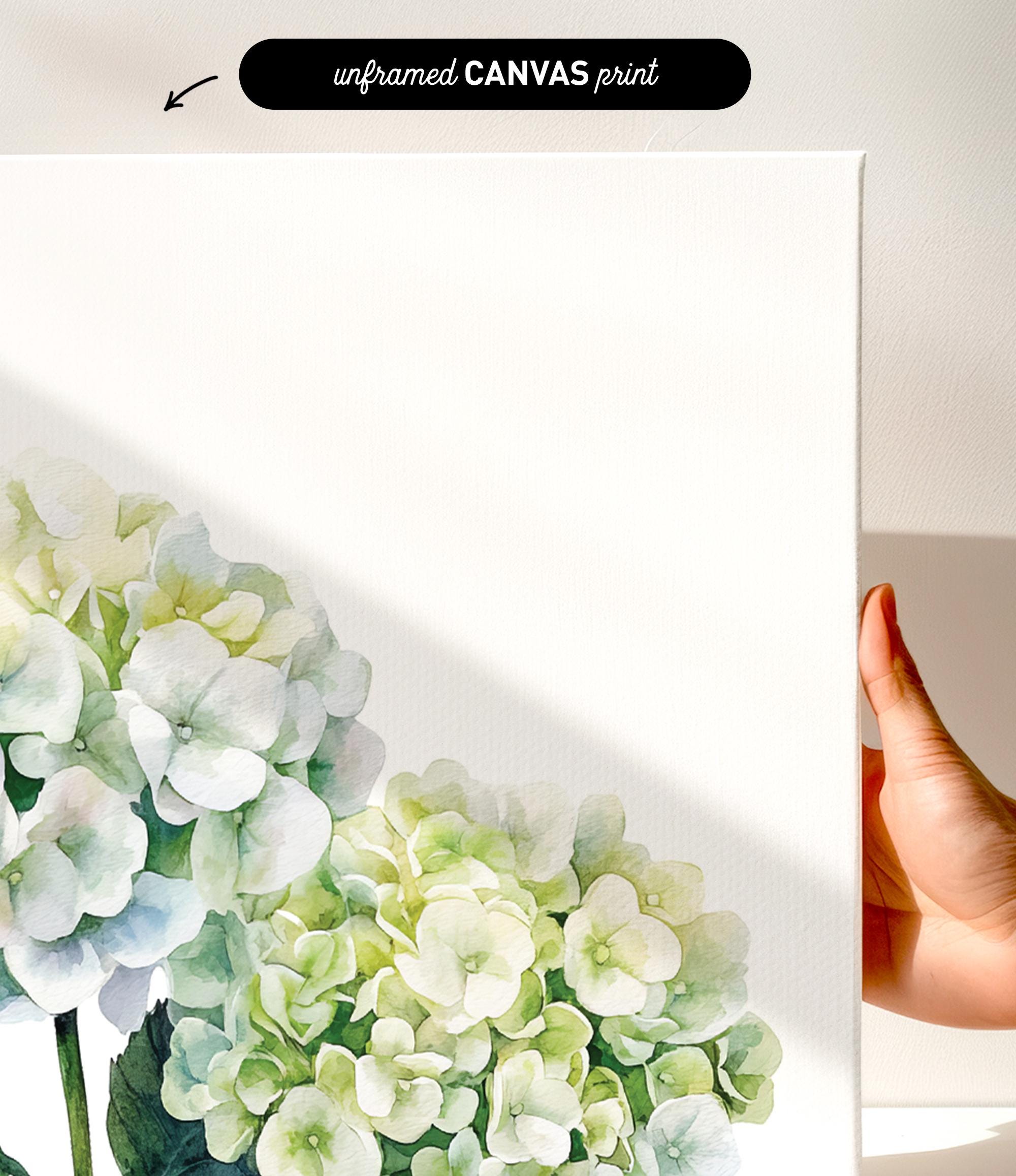 a hand holding a white canvas print with a watercolor painting of white hydrangea flowers on it.