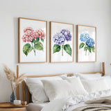 a bedroom with a bed and three framed watercolor paintings of hydrangea flowers hanging on the wall above it.