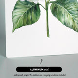 The image is an aluminum print featuring a water-resistant, perfect for outdoor use, hanging hardware included plant illustration.