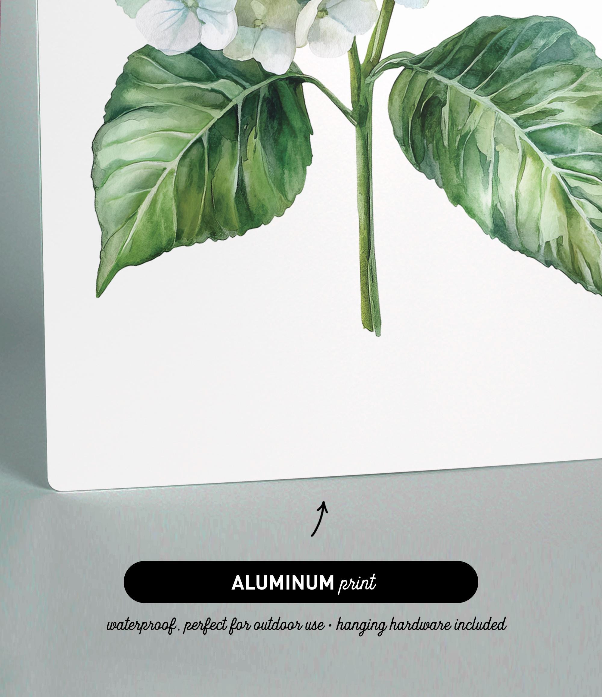 The image is an aluminum print featuring a water-resistant, perfect for outdoor use, hanging hardware included plant illustration.