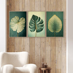 three framed paintings of tropical leaves hanging on a wooden wall.