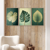 three framed paintings of tropical leaves hanging on a wooden wall.