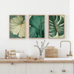 a kitchen counter with three framed botanical leaf prints displayed above it. The prints showcase various shades of green leaves, adding a touch of nature to the space. The kitchen counter also has a sink, bowls, and other kitchen accessories, creating a functional and organized appearance.