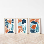 three framed art prints of sea life on a wall