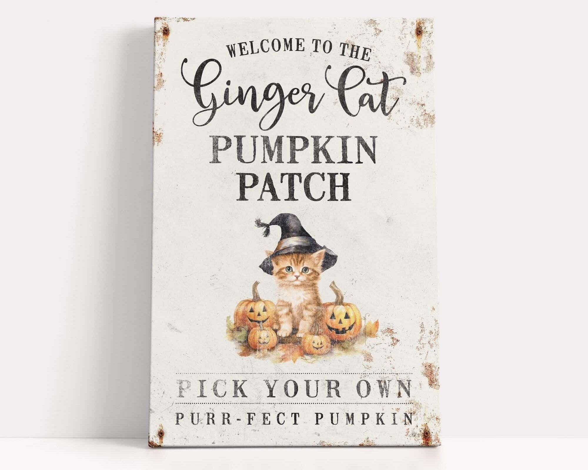 a sign that says, welcome to the ginger cat pumpkin patch