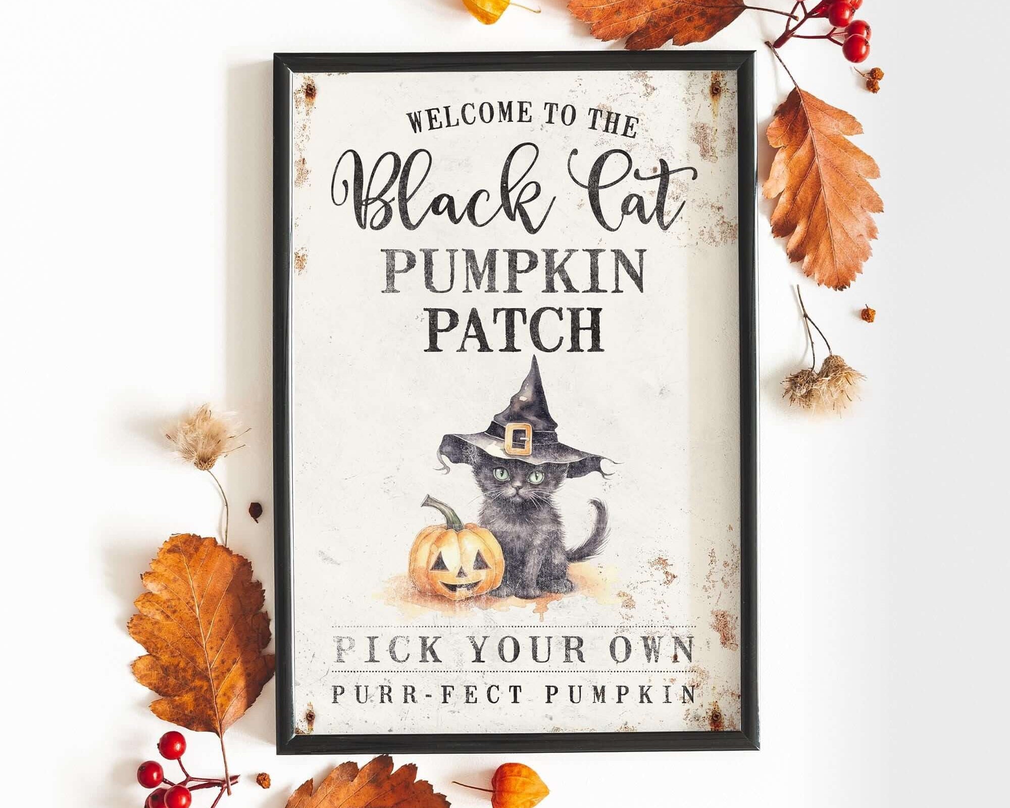a picture of a sign that says welcome to the black cat pumpkin patch