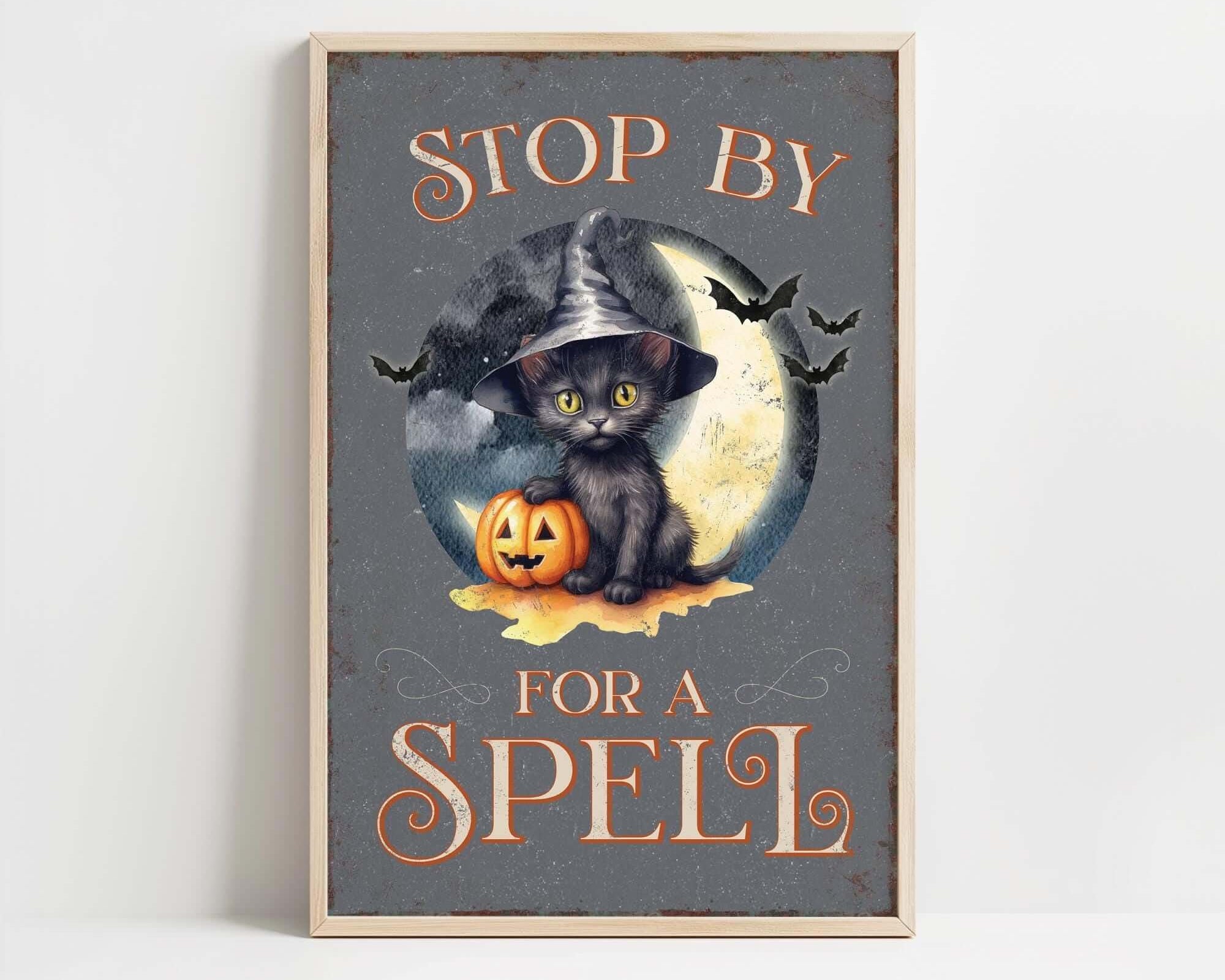 a picture of a black cat with a witches hat